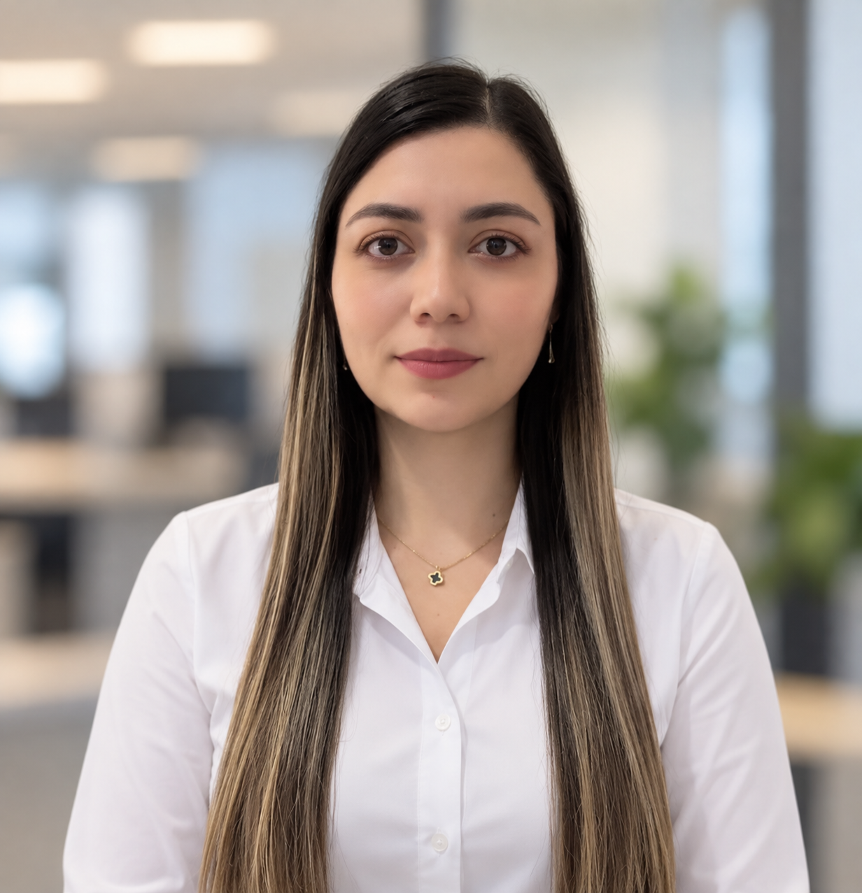 Karen Lizeth Giraldo Valencia